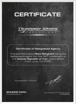 DYNAMIC STATE-عمده فروشی سیستم صوتی ماشین